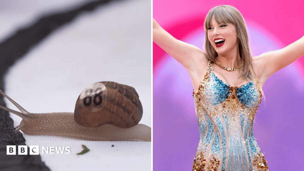'Snailor Swift' becomes world snail racing champion