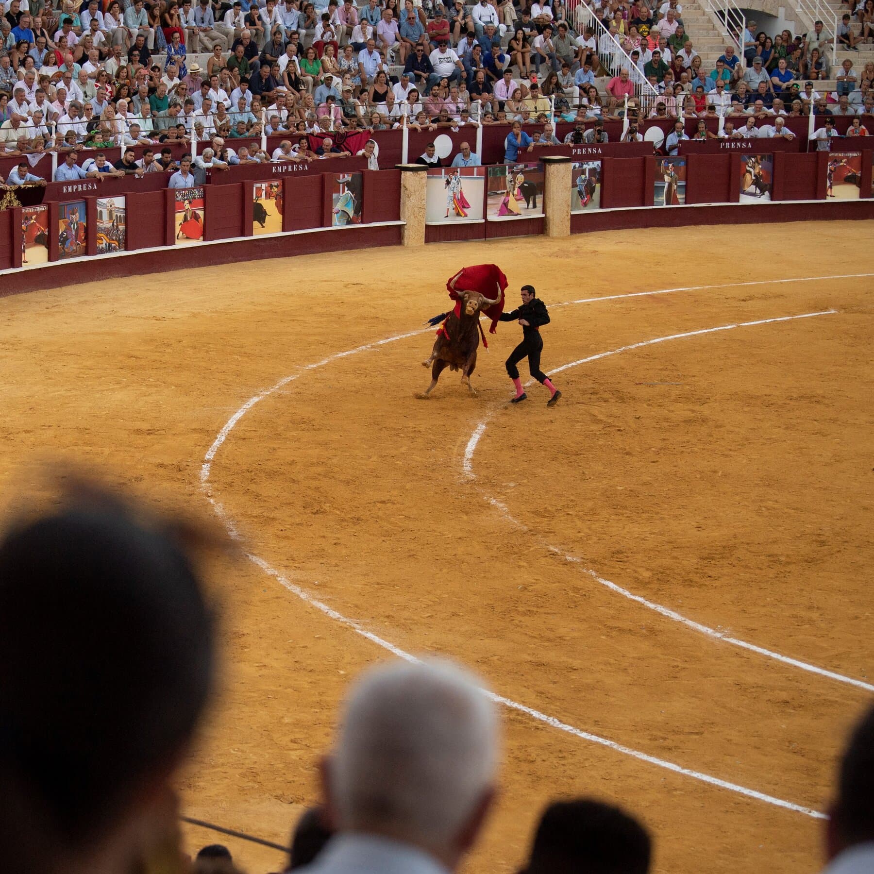 Former Matador Is Gored to Death Before Annual Bullfight in Spain