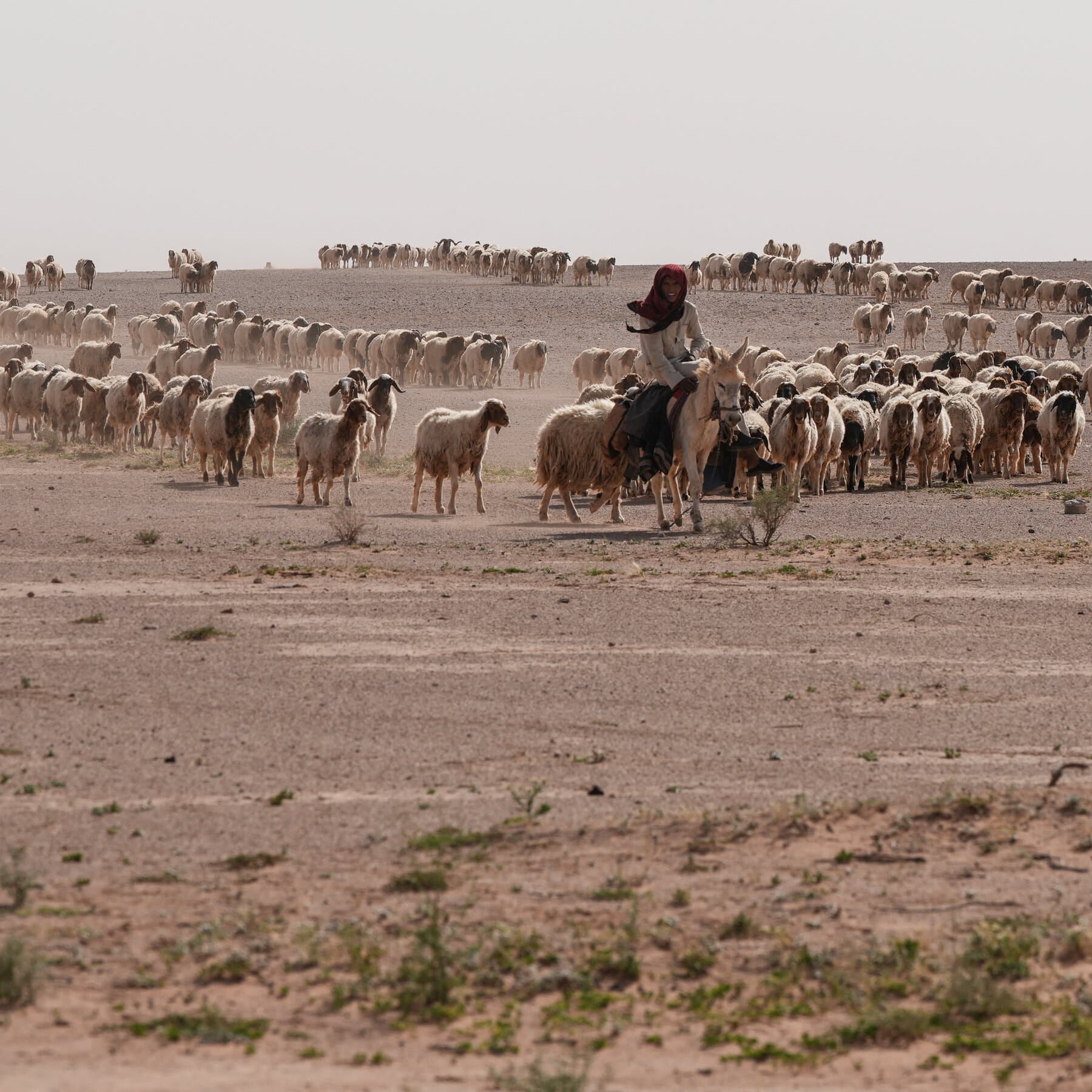 In Iraqi Desert, Two Israeli Outposts Were Kept Secret for Months