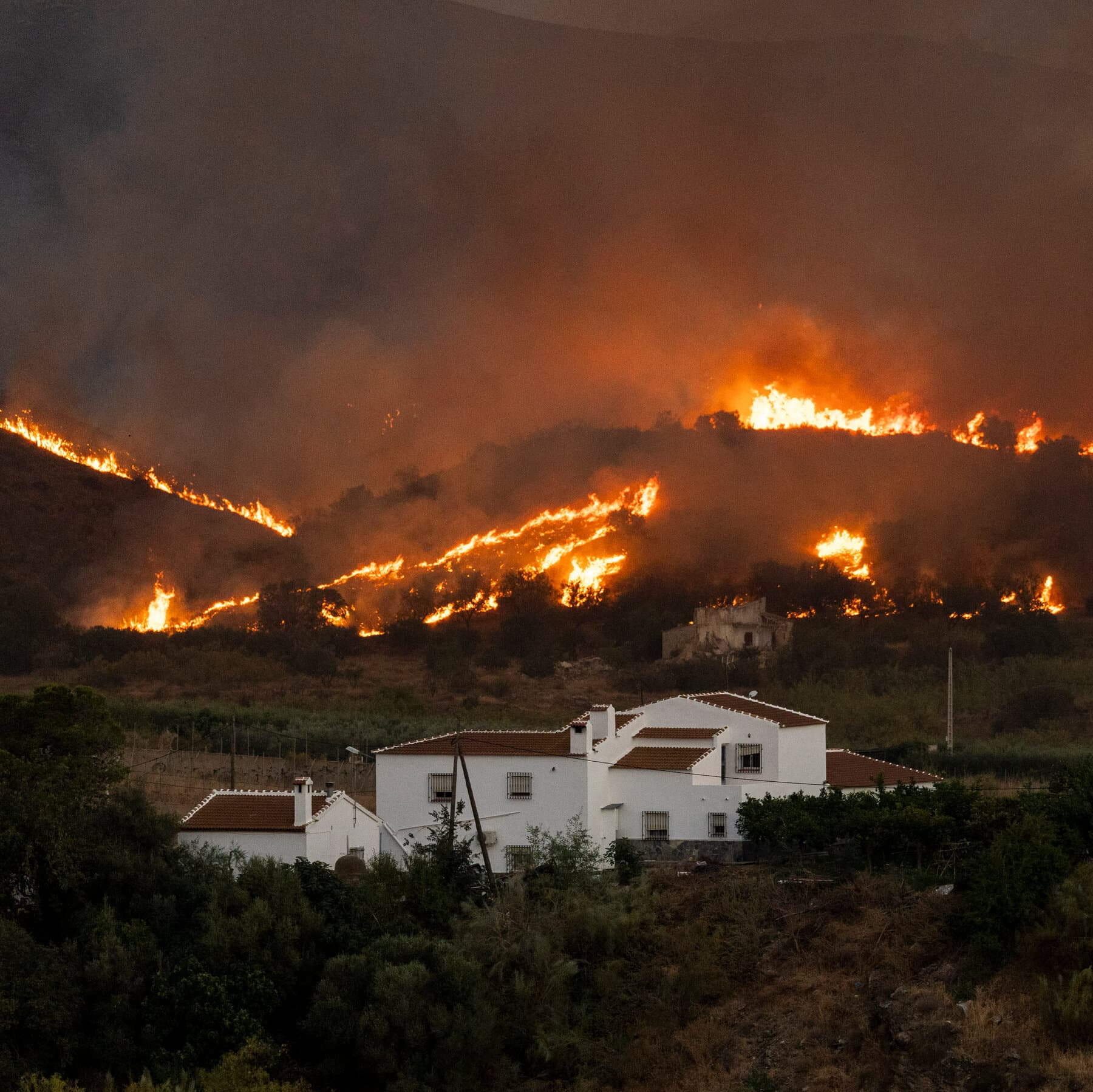 A Wildfire Killed 12 People in Southern Spain. Here’s the Latest.