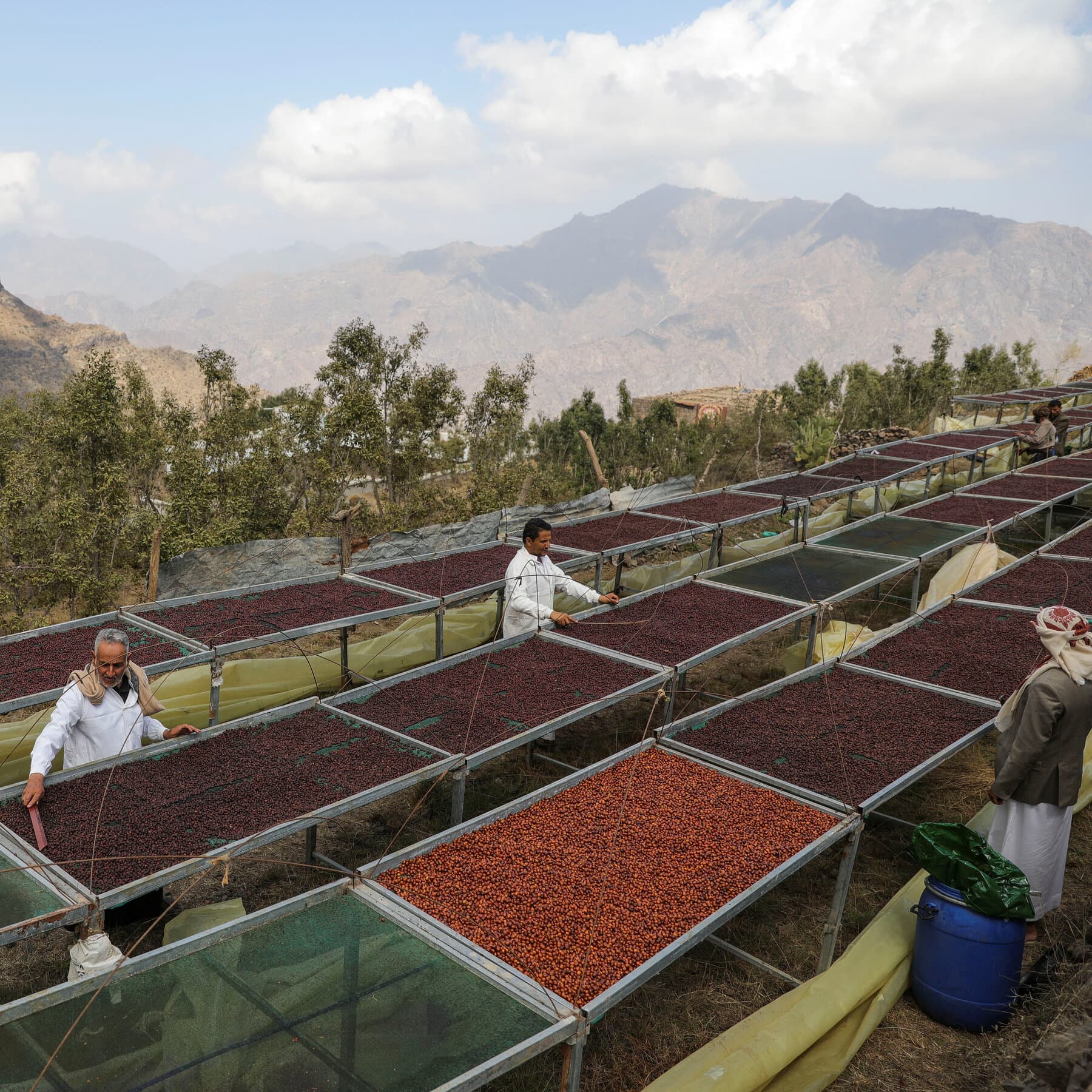 Pourquoi Mokha, port historique du café, est important dans la guerre au Yémen